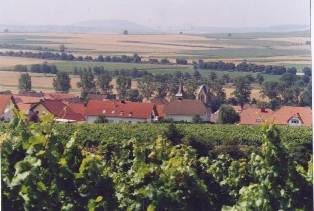 File:Blick über Welgesheim.jpg