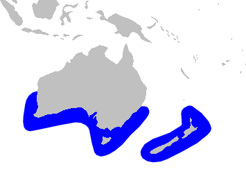 File:Cetacea range map Andrews Beaked Whale.png