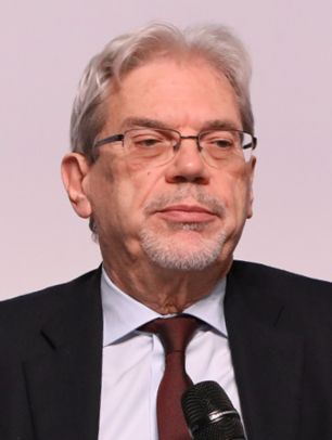 File:Claudio De Vincenti 2017 cropped.jpg