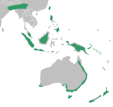 File:Corybas distribution map.png