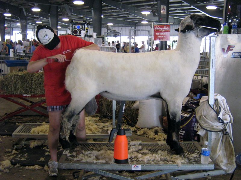 File:Delaware State Fair 2009.jpg