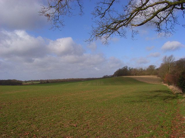 File:Farmland, Elcot - geograph.org.uk - 1231043.jpg