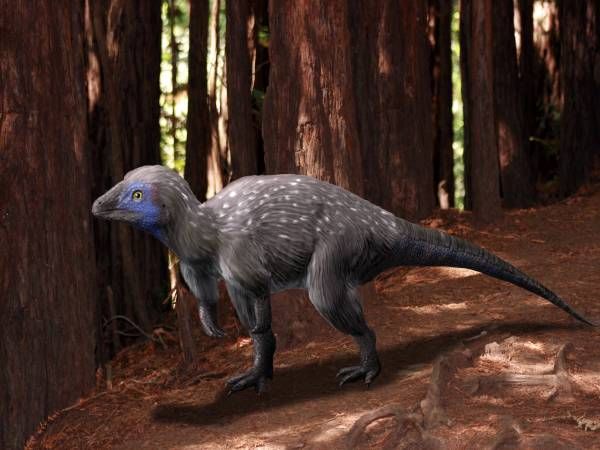 File:Kulindadromeus NT small.jpg