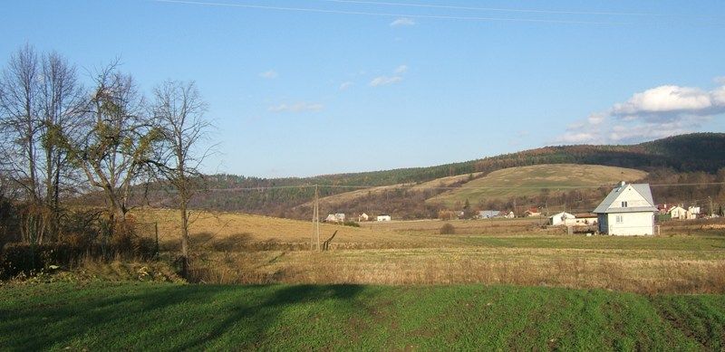 File:Main Brzuska road in Poland.jpg