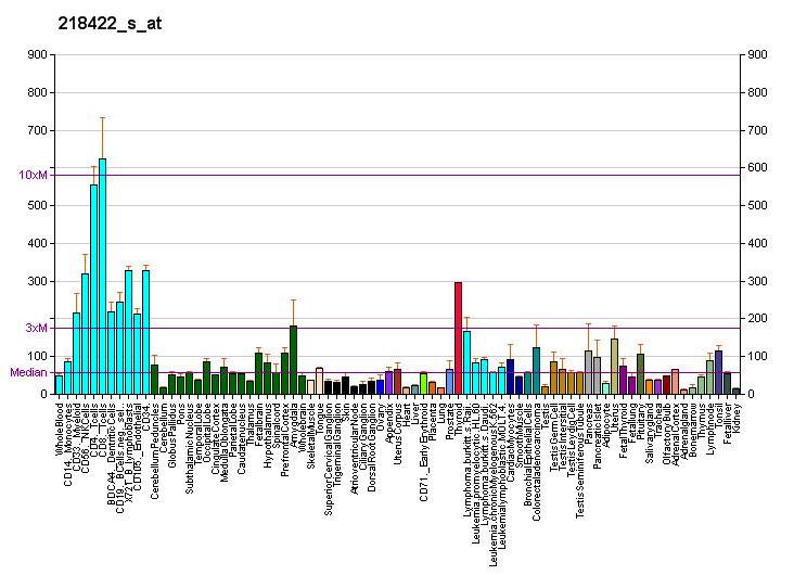 File:PBB GE RBM26 218422 s at fs.png