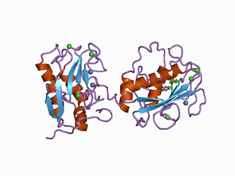 File:PDB 1b3d EBI.jpg