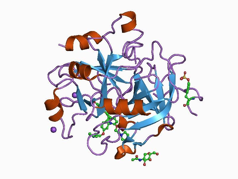 File:PDB 1d3p EBI.jpg