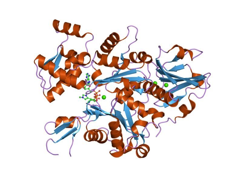 File:PDB 1dej EBI.jpg