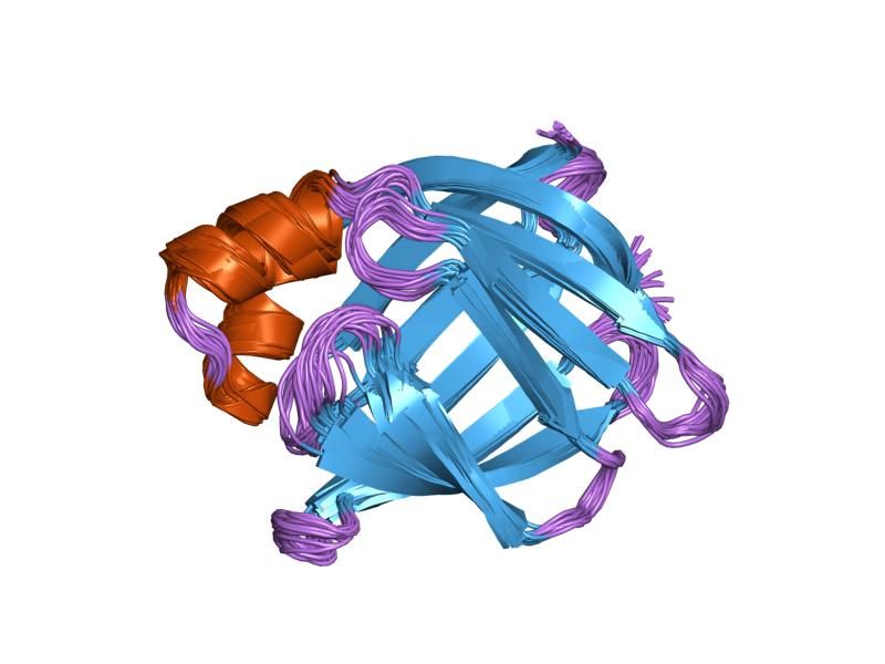 File:PDB 1kzw EBI.jpg