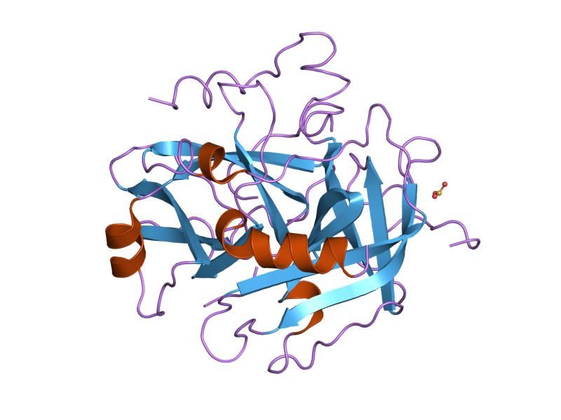 File:PDB 1nrs EBI.jpg