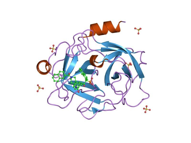 File:PDB 1t32 EBI.jpg