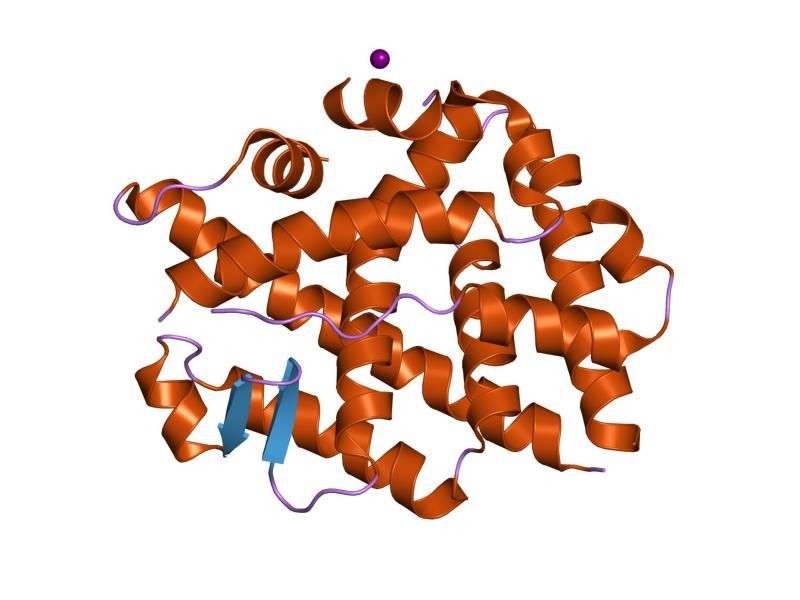 File:PDB 1xb7 EBI.jpg