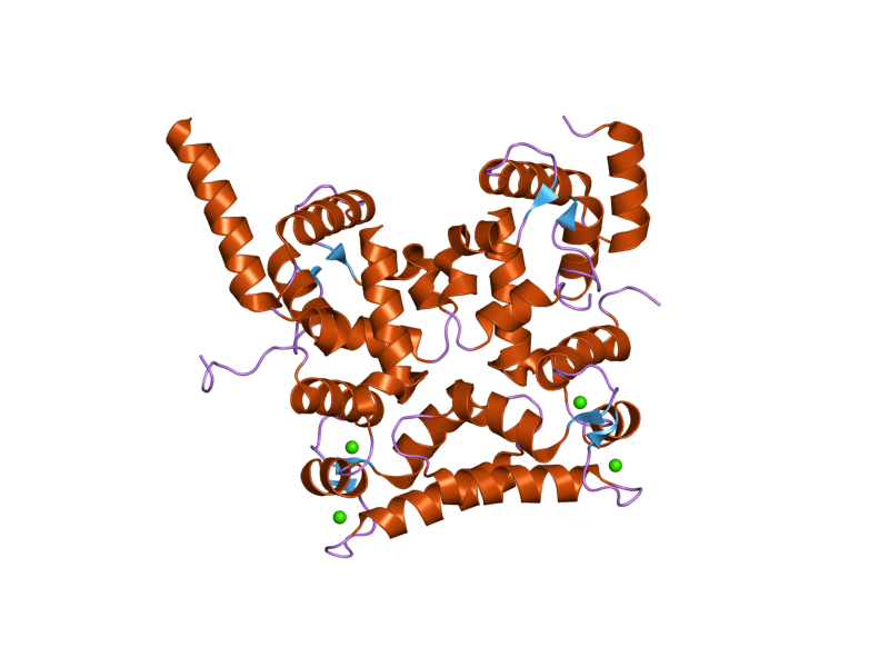 File:PDB 2ct9 EBI.png