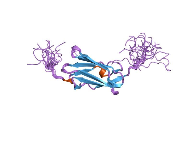 File:PDB 2dia EBI.jpg