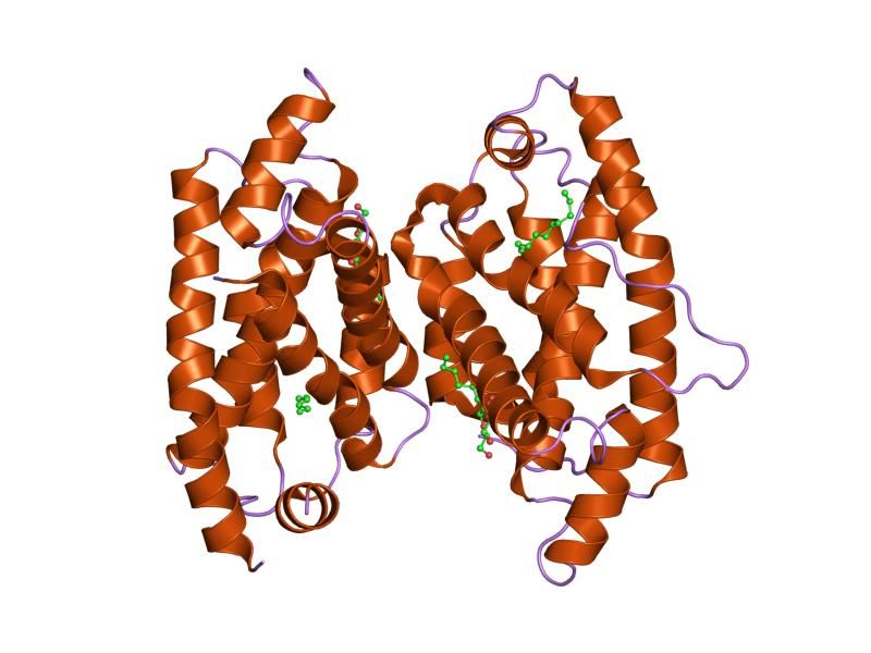 File:PDB 2evs EBI.jpg