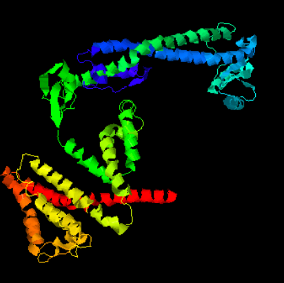 File:Predicted Tertiary Structure of GOLGA8H.png