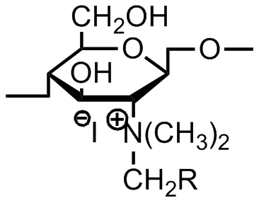 File:Rui Scheme 19.png