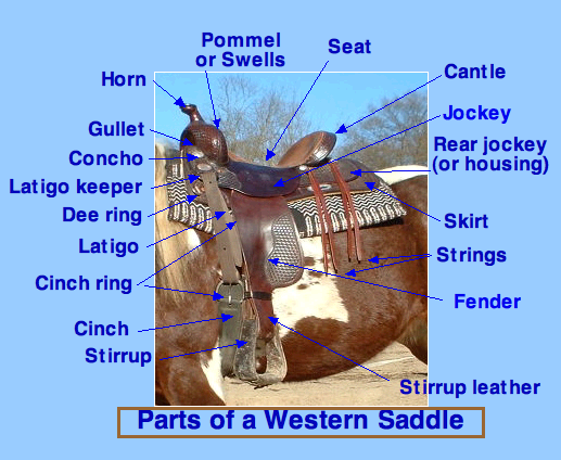 File:WesternSaddleParts.png