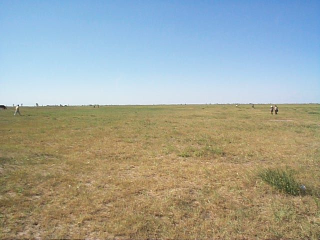 File:Zhurihe Ranch, Tongliao.jpg