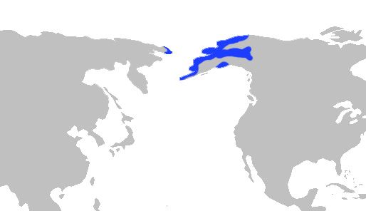 File:Alaskablackfishrange.jpg