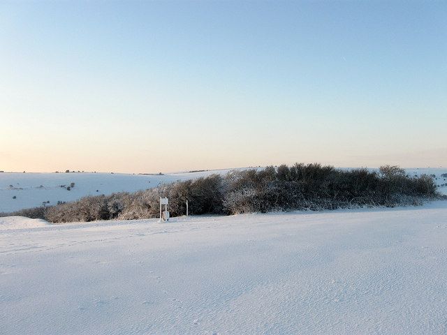 File:Benfield Hill - geograph.org.uk - 1656357.jpg