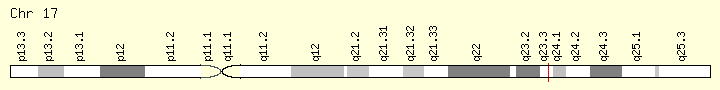 File:Genomic view of PRR29.png