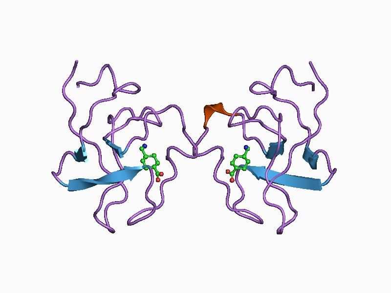 File:PDB 1ceb EBI.jpg