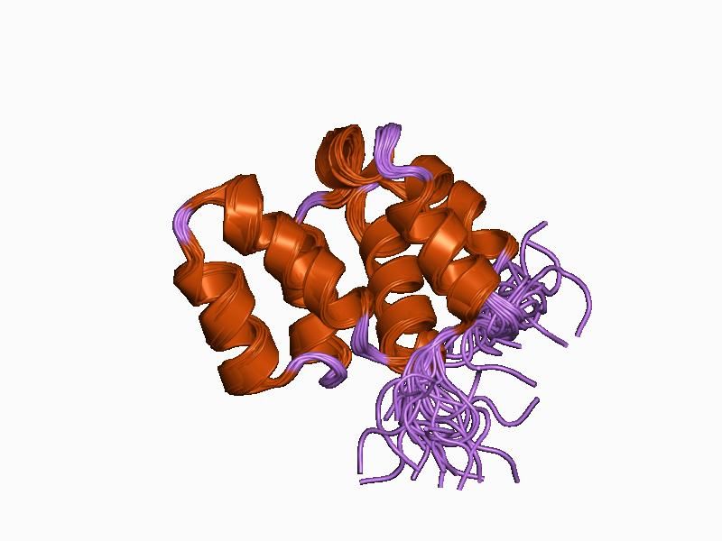 File:PDB 1cww EBI.jpg