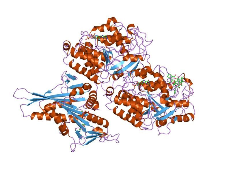 File:PDB 1ia0 EBI.jpg