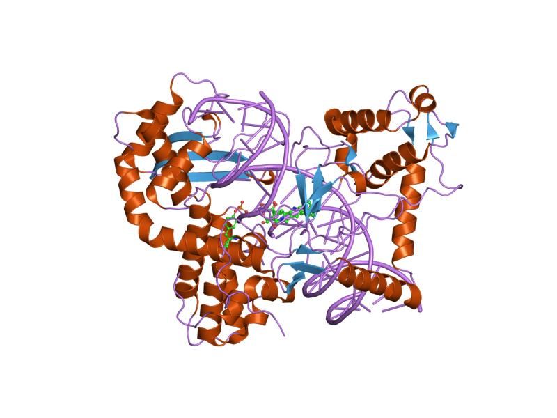 File:PDB 1rr8 EBI.jpg