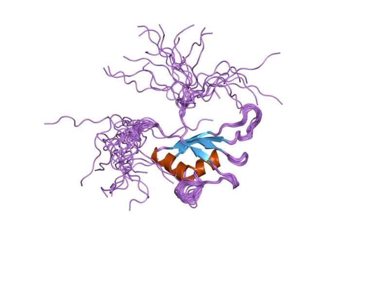 File:PDB 1x4h EBI.jpg