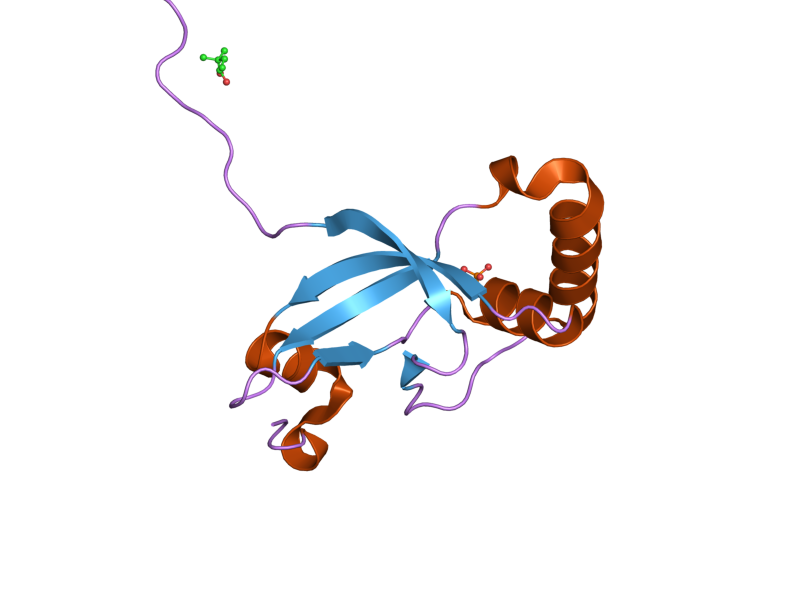 File:PDB 1xw3 EBI.png