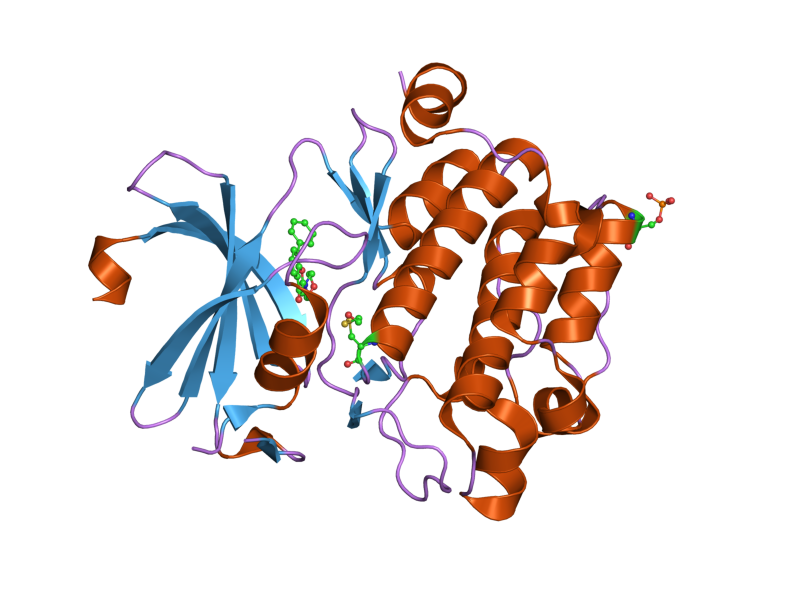 File:PDB 1yi3 EBI.png