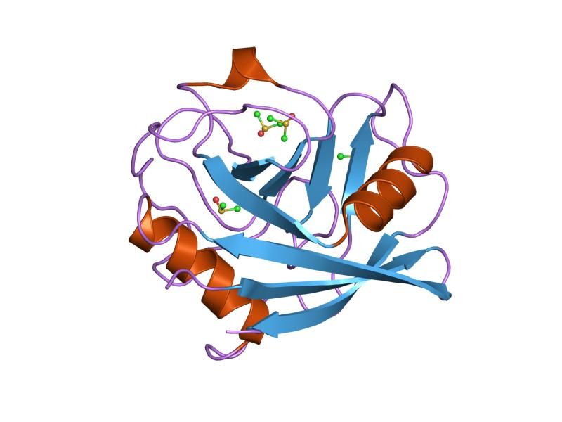 File:PDB 2biu EBI.jpg