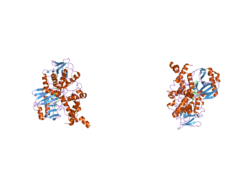 File:PDB 2bxs EBI.png