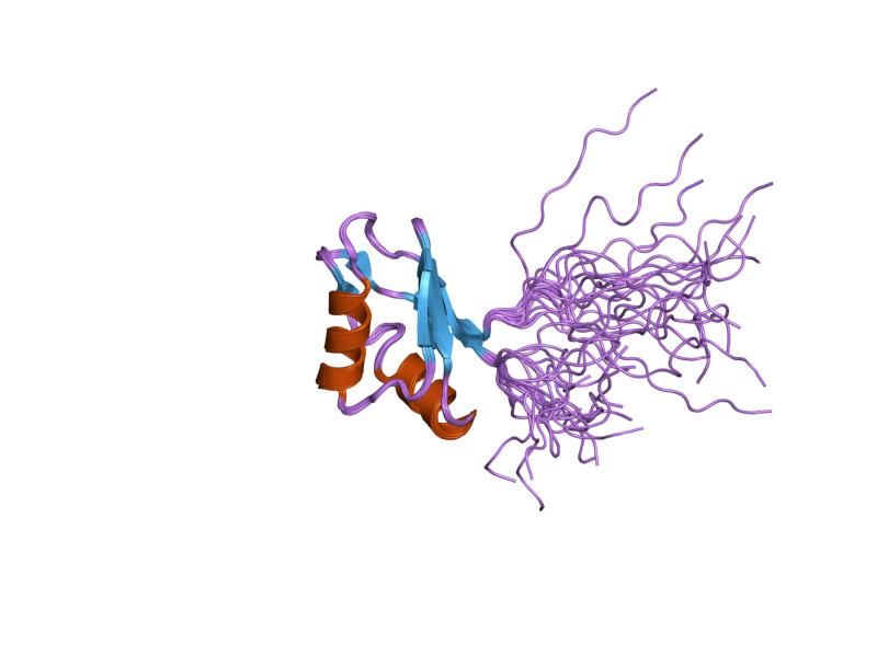 File:PDB 2cqh EBI.jpg