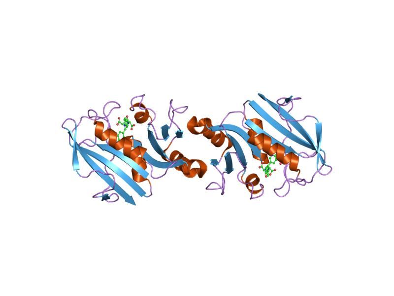 File:PDB 2dhf EBI.jpg