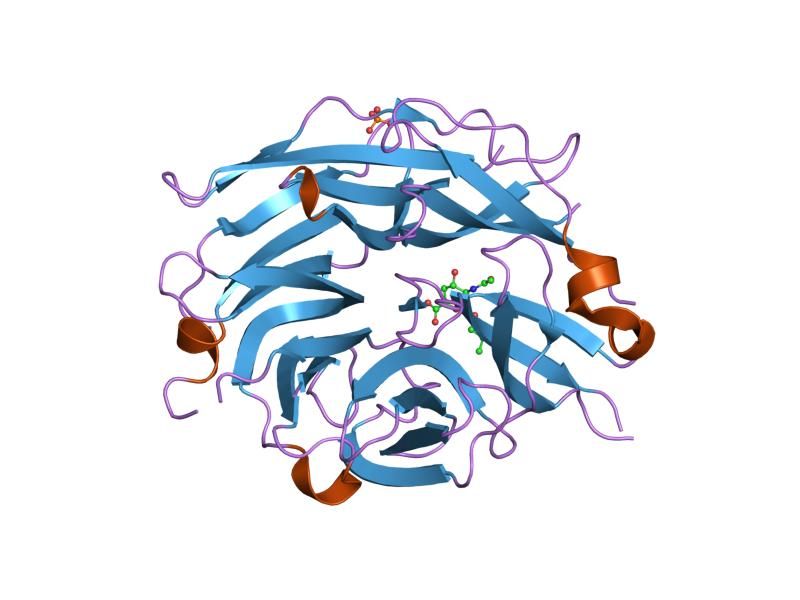 File:PDB 2f11 EBI.jpg