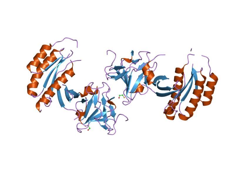 File:PDB 2fu5 EBI.jpg