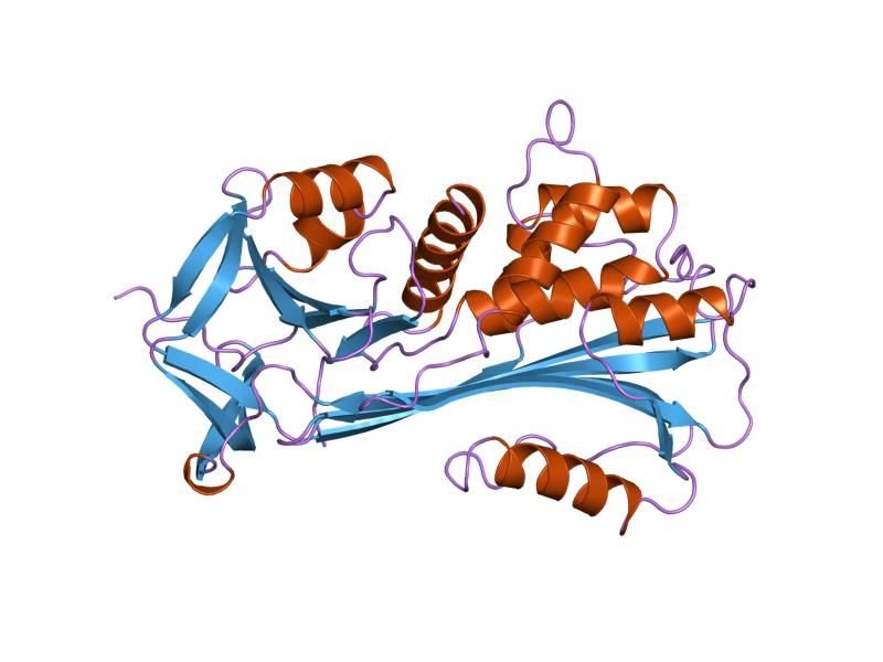 File:PDB 3caa EBI.jpg