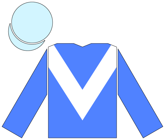 File:Racing silks of Maktoum Al Maktoum.png