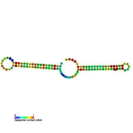 File:23S methyl RNA motif secondary structure.jpg