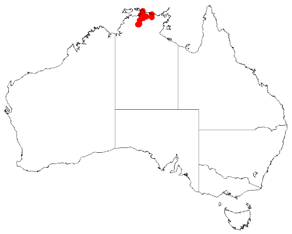 File:Acacia mountfordiaeDistMap611.png