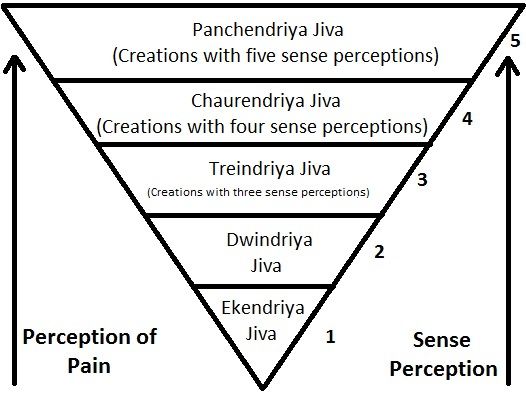 File:Jain Vegetarianism Illustration.jpg