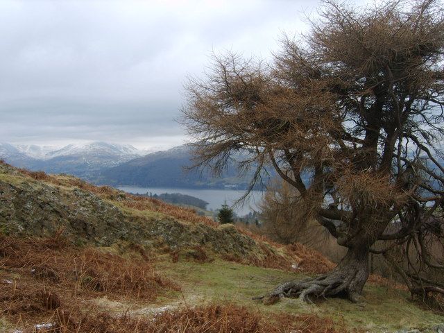 File:On Latterbarrow - geograph.org.uk - 1160333.jpg