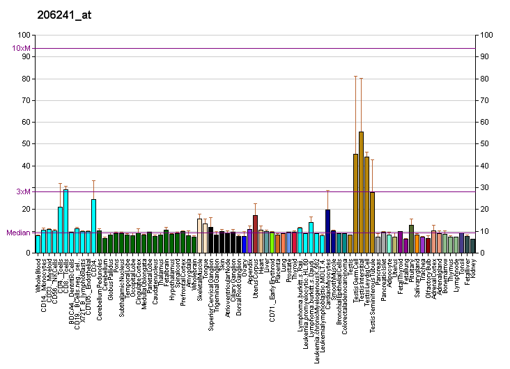 File:PBB GE KPNA5 206241 at fs.png