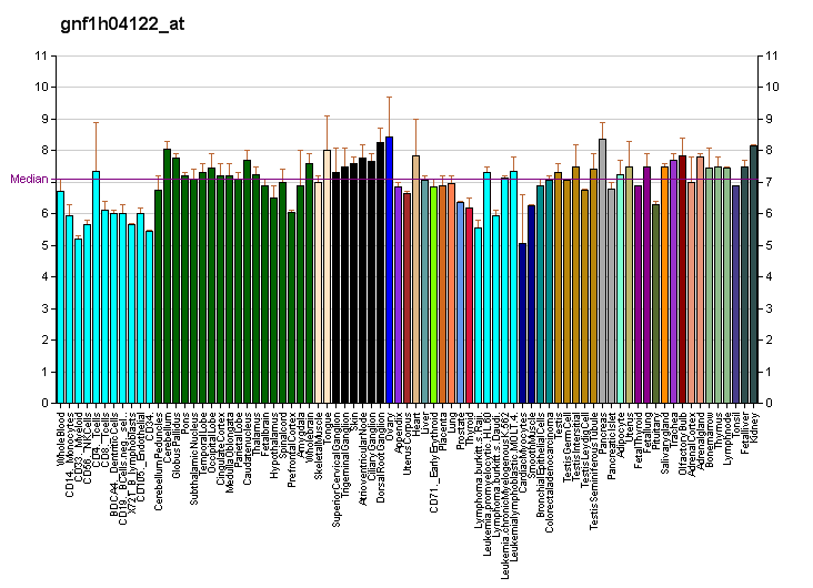 File:PBB GE LMOD3 gnf1h04122 at fs.png