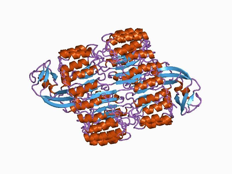 File:PDB 1a4y EBI.jpg