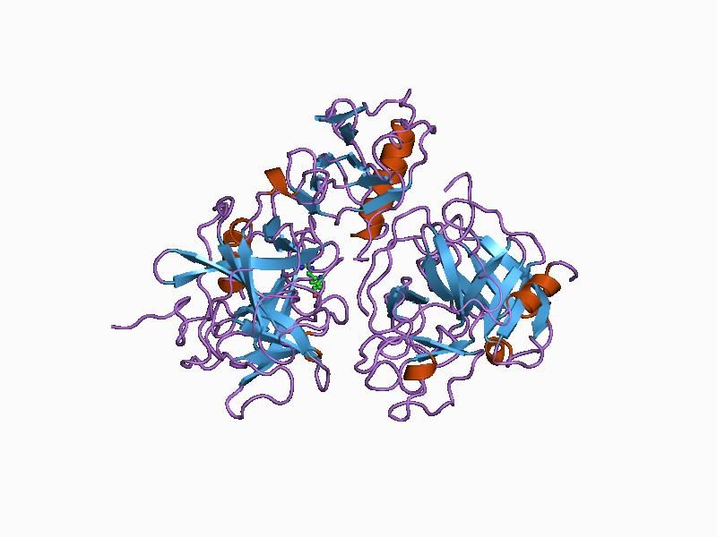 File:PDB 1bui EBI.jpg