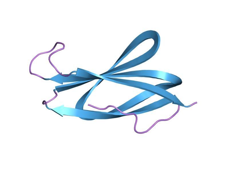 File:PDB 1fna EBI.jpg